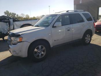  Salvage Ford Escape