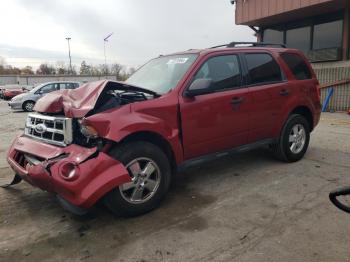  Salvage Ford Escape