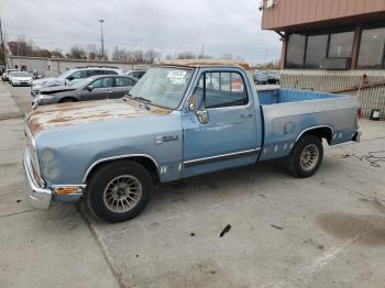  Salvage Dodge D Series