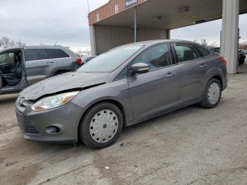  Salvage Ford Focus