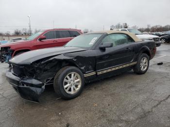  Salvage Ford Mustang