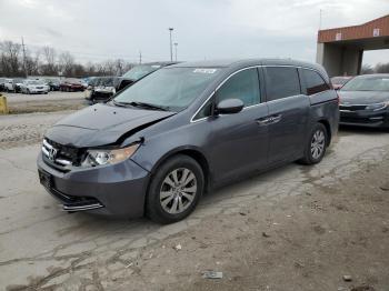  Salvage Honda Odyssey