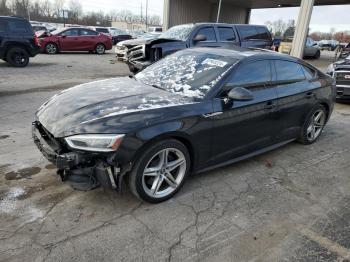  Salvage Audi S5