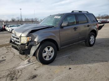  Salvage Ford Escape