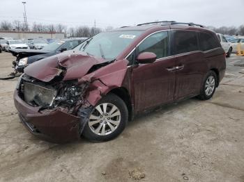  Salvage Honda Odyssey