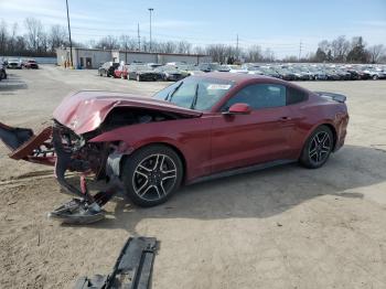  Salvage Ford Mustang