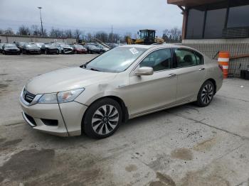  Salvage Honda Accord