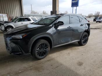  Salvage Lexus NX