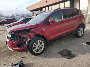  Salvage Ford Escape