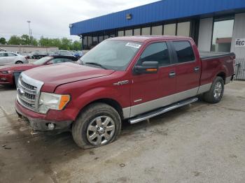  Salvage Ford F-150