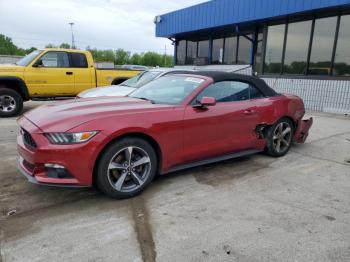  Salvage Ford Mustang