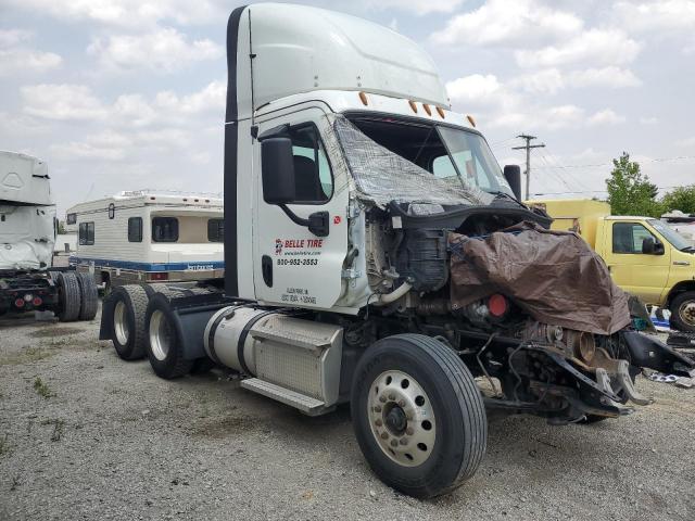  Salvage Freightliner Cascadia 1