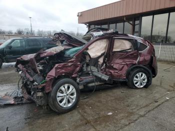  Salvage Honda Crv