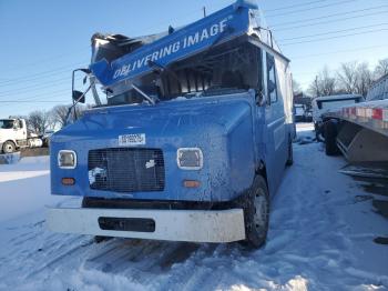  Salvage Ford F59