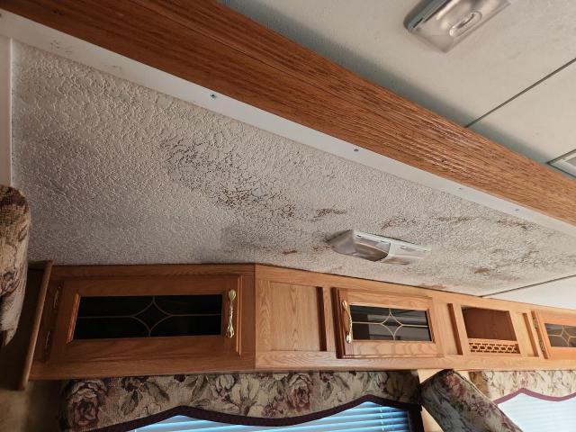 Other Keystone Image 8