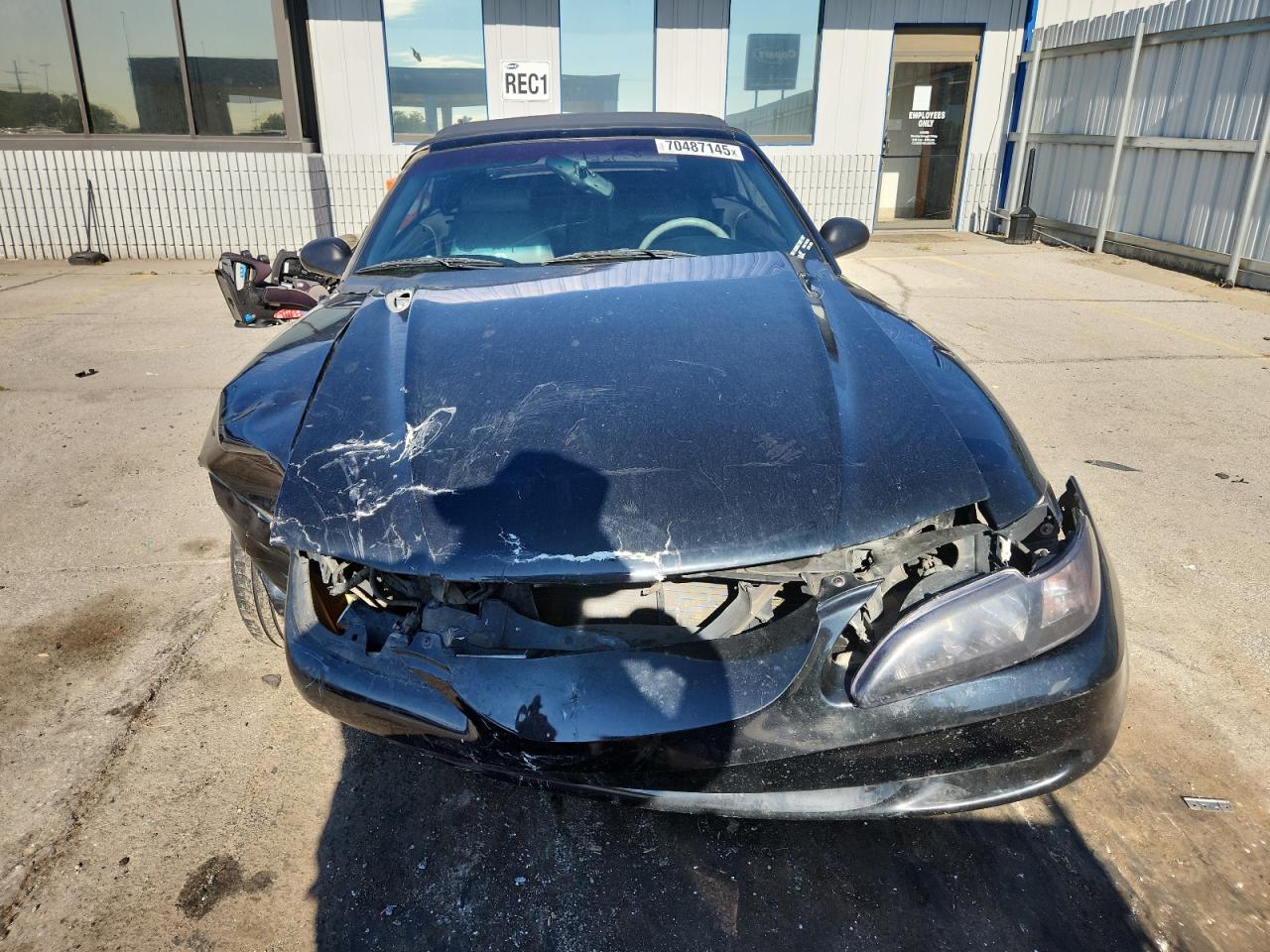 Ford Mustang Gt Image 6