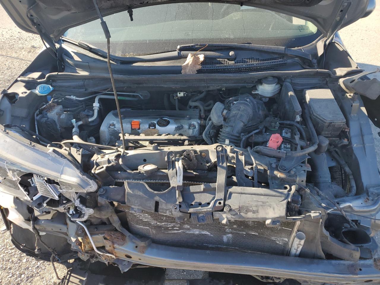 Honda Crv Ex Image 4