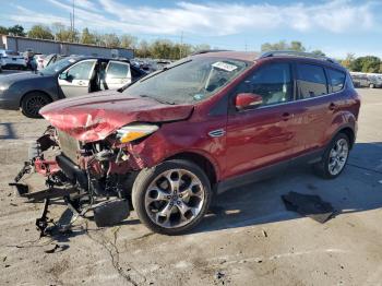 Salvage Ford Escape