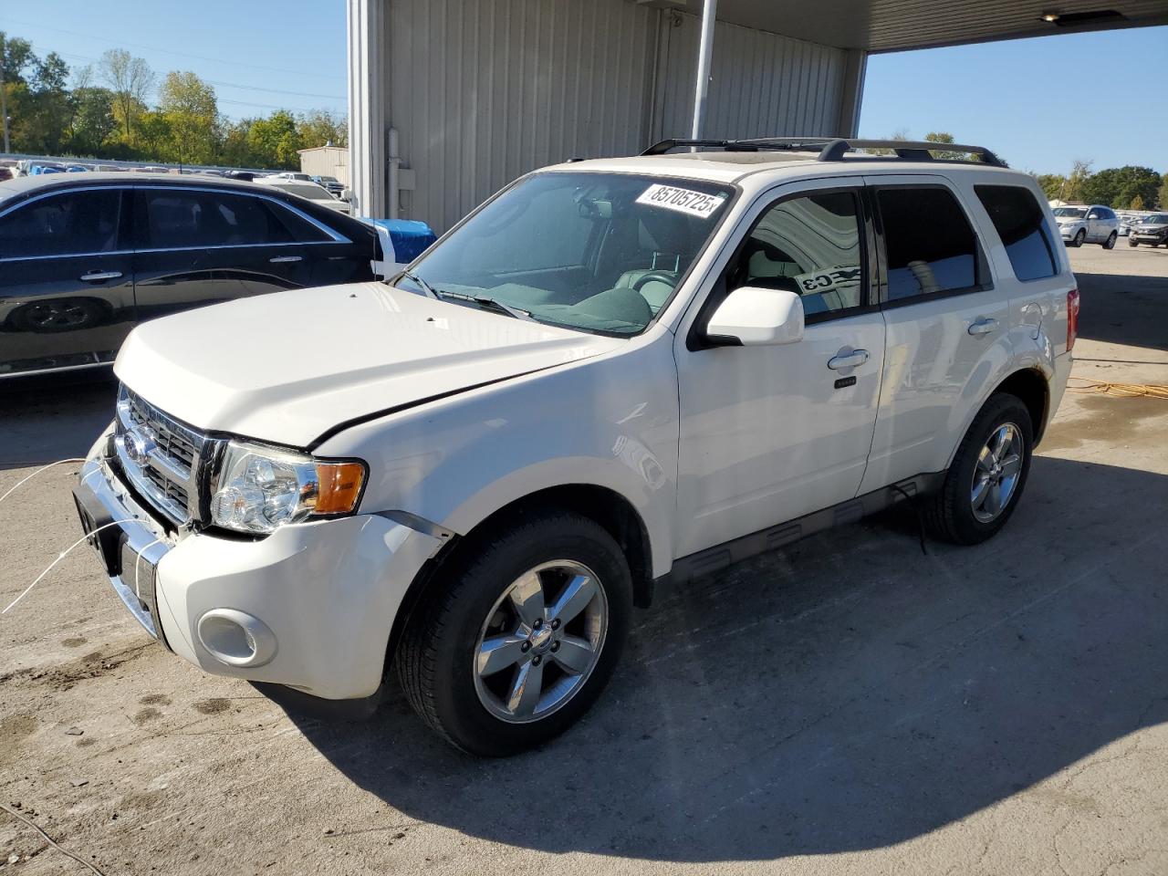 Ford Escape Limited Image 1