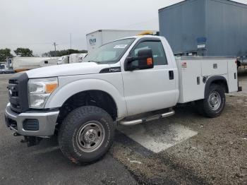  Salvage Ford F-250