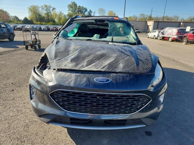 Ford Escape Sel Image 8