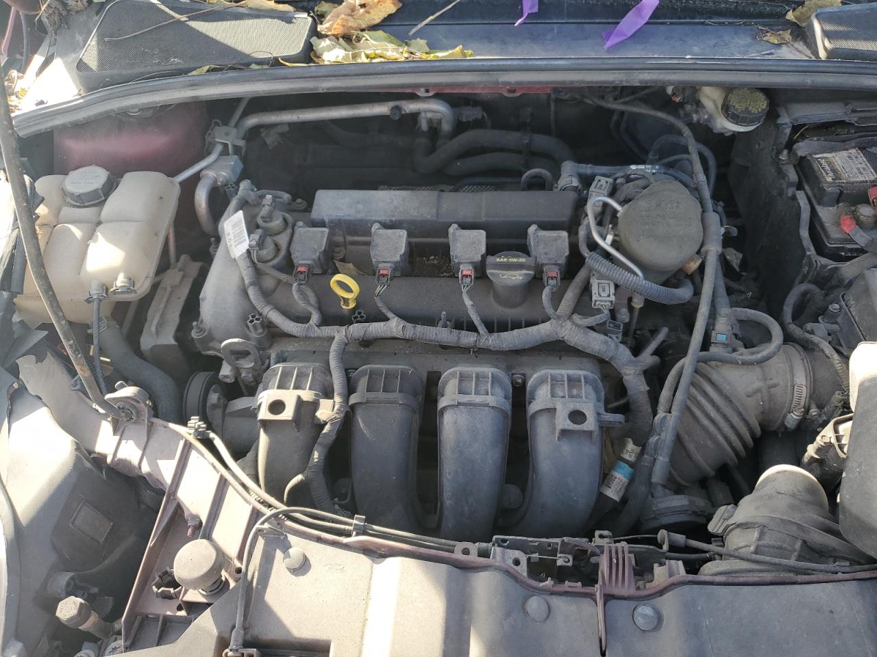 Ford Focus Se Image 2