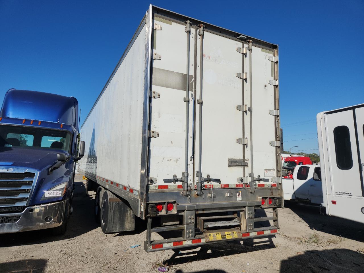 Great Dane Other Image 9