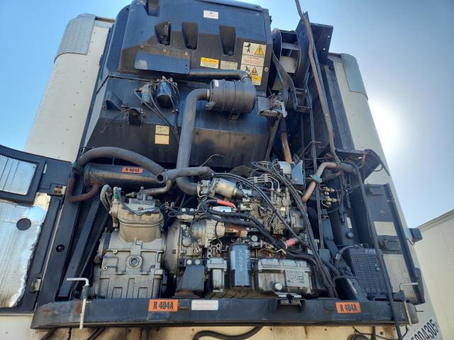 Great Dane Other Image 7