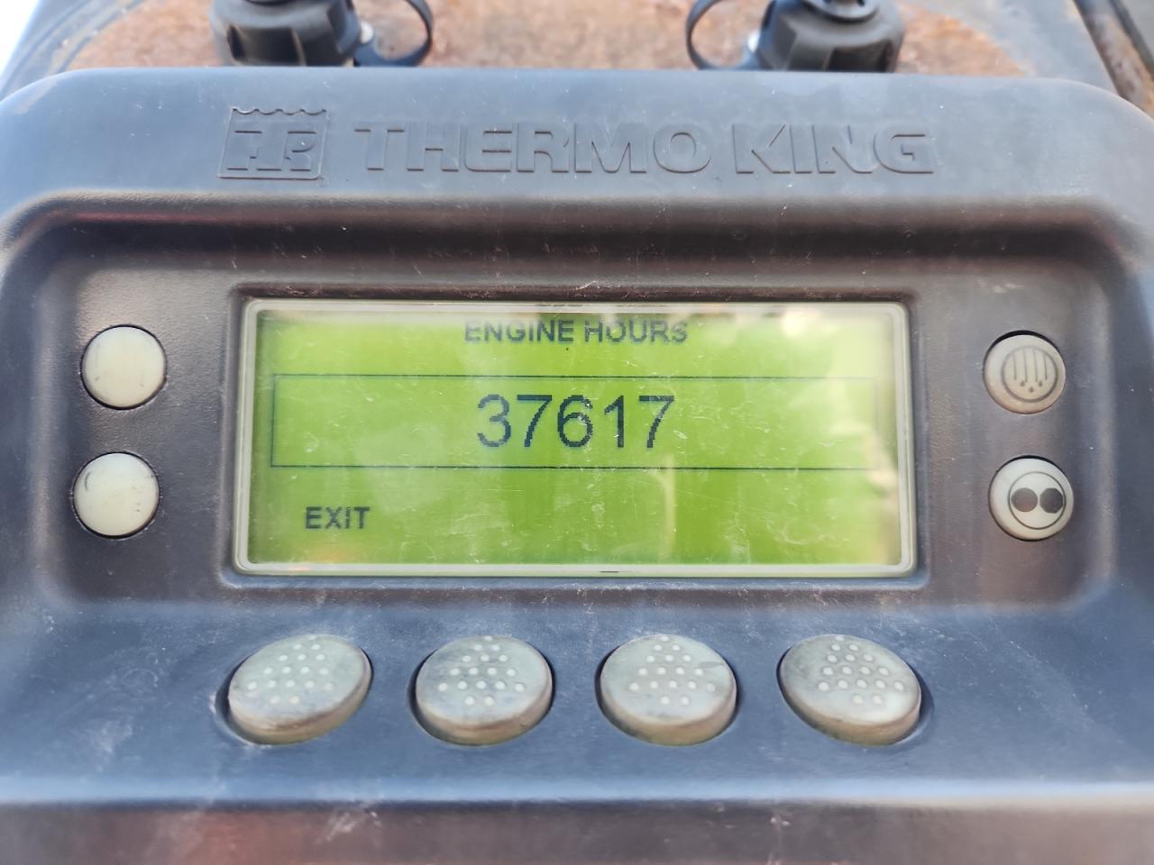 Great Dane Other Image 8