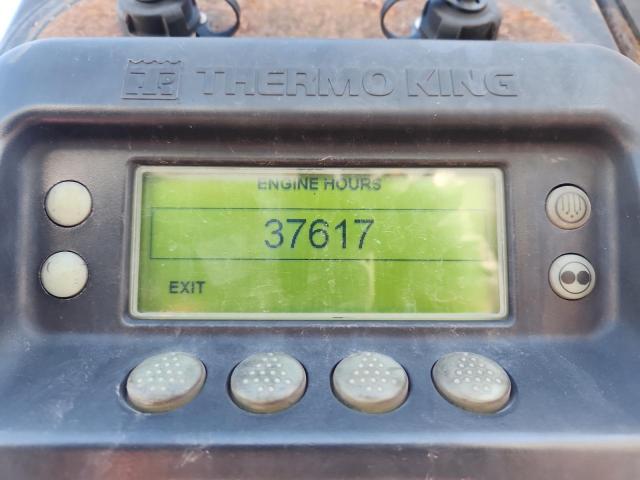 Great Dane Other Image 8