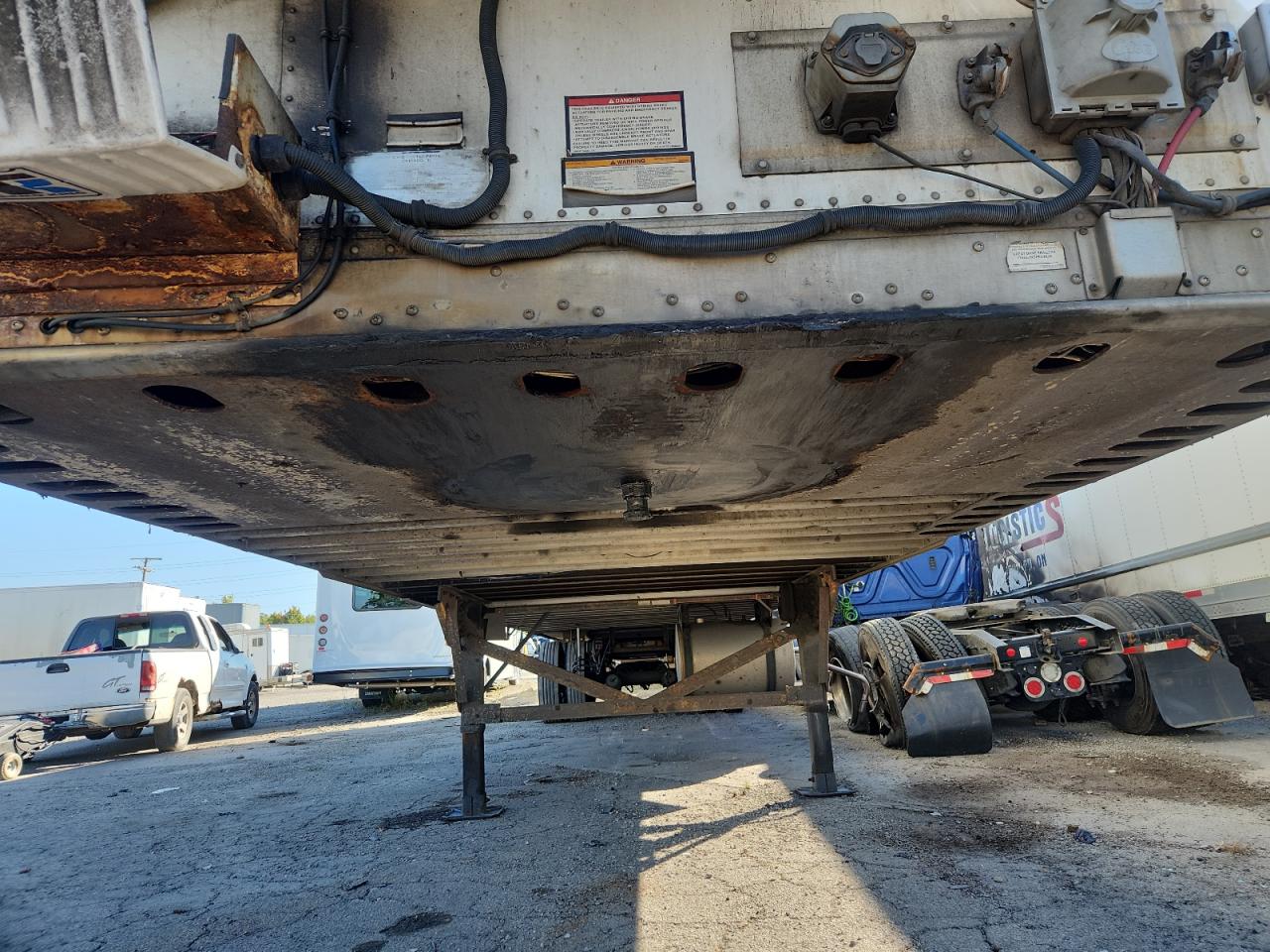 Great Dane Other Image 4