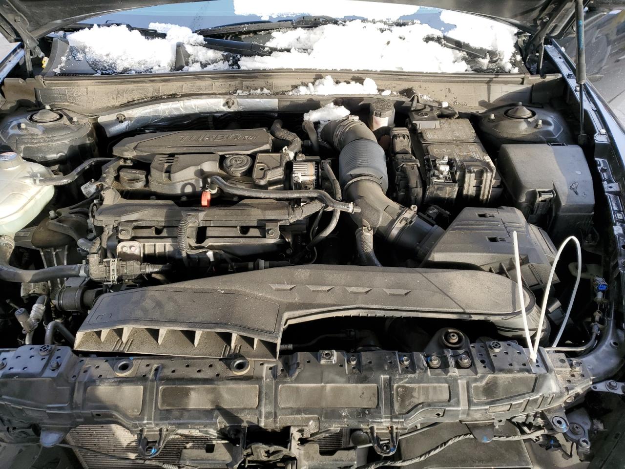 Hyundai SONATA Limited Image 5