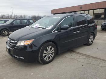 Salvage Honda Odyssey