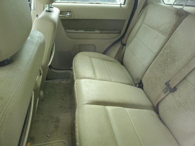 Ford Escape Limited Image 7