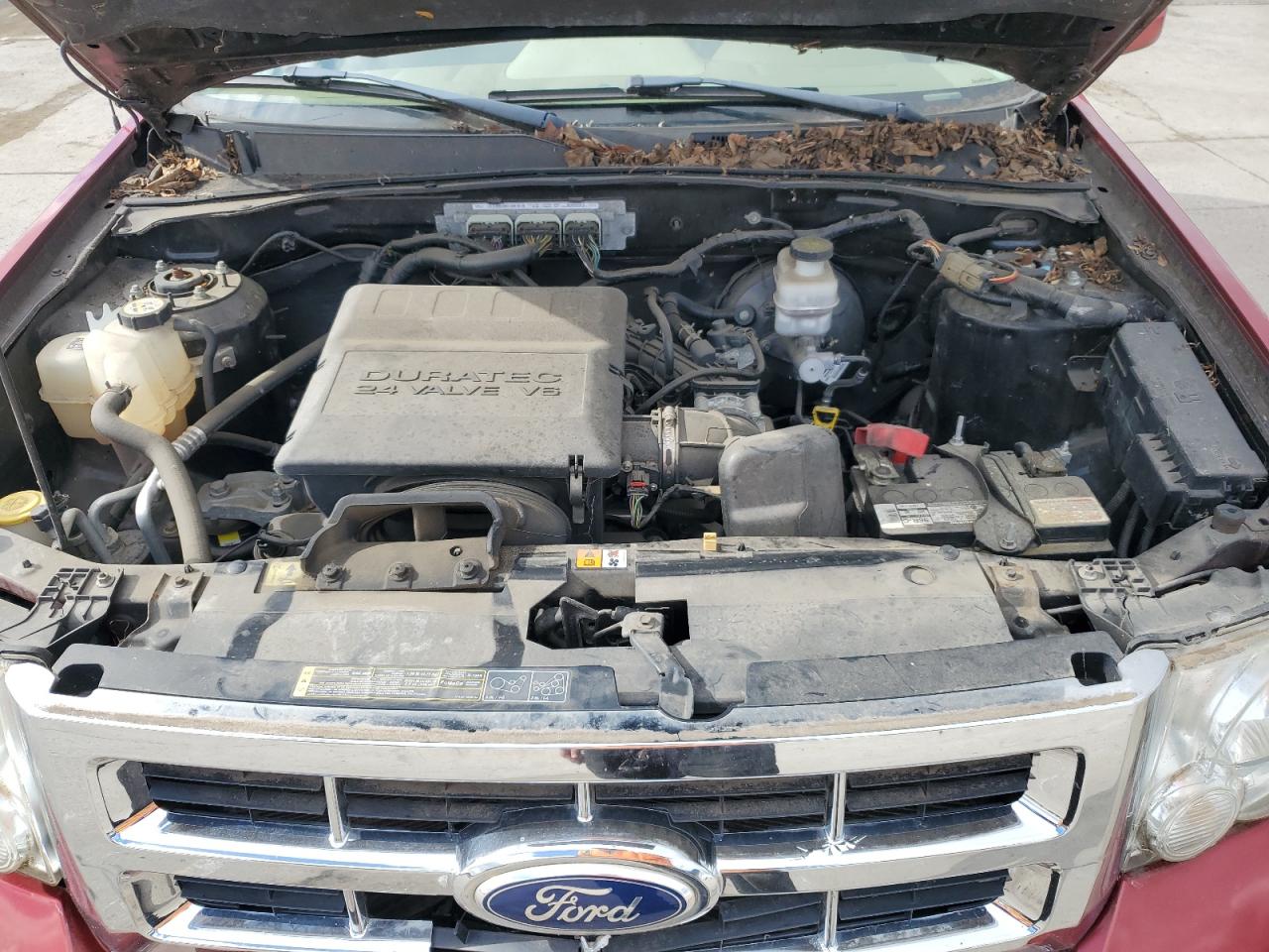 Ford Escape Limited Image 8