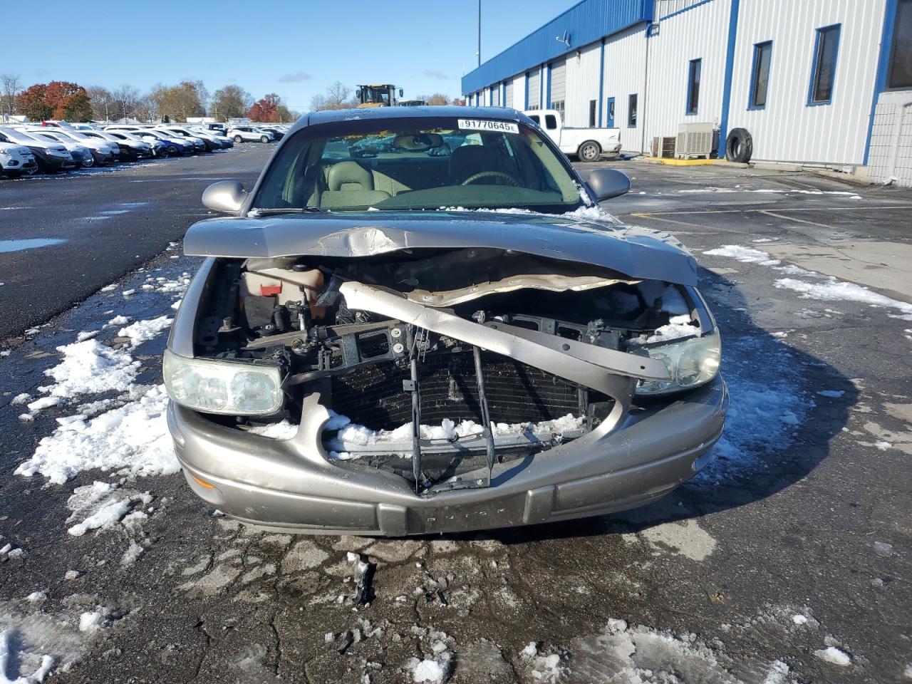 Buick LeSabre Custom Image 7