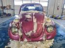 Volkswagen Beetle Image 4