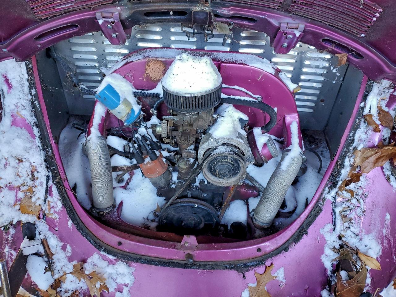 Volkswagen Beetle Image 12