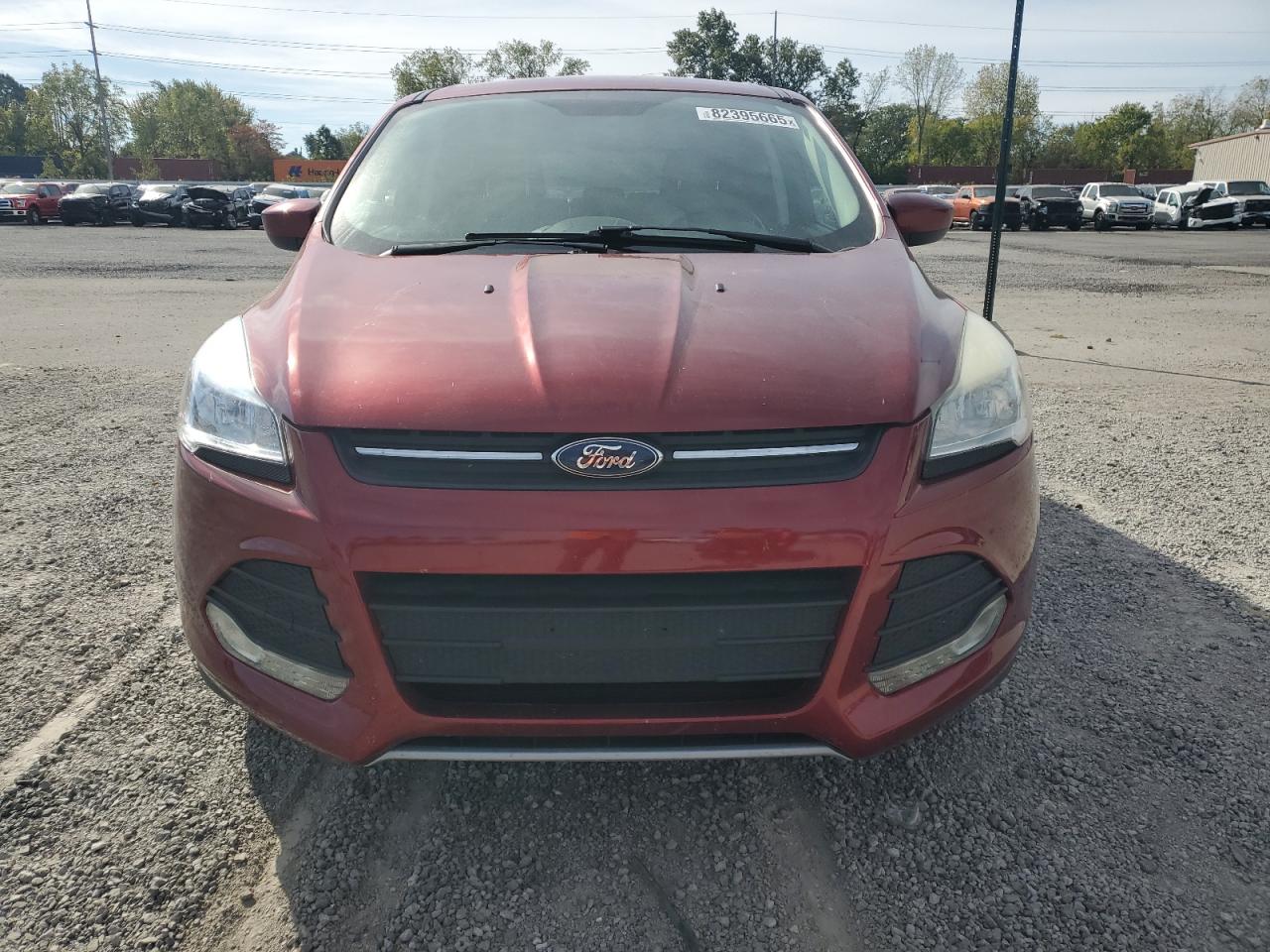 Ford Escape Se Image 13