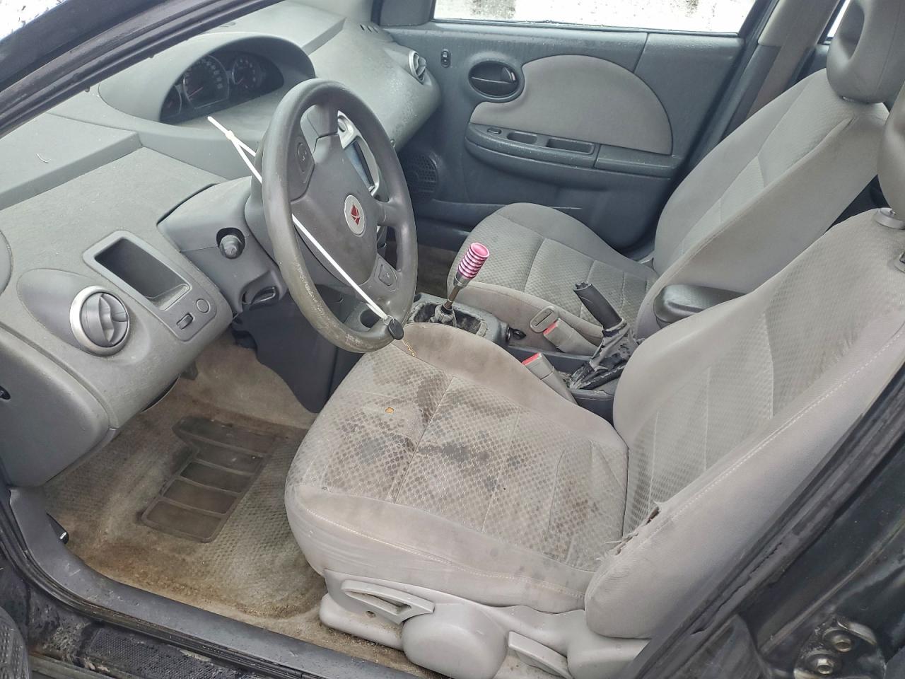 Saturn Ion Level 2 Image 2