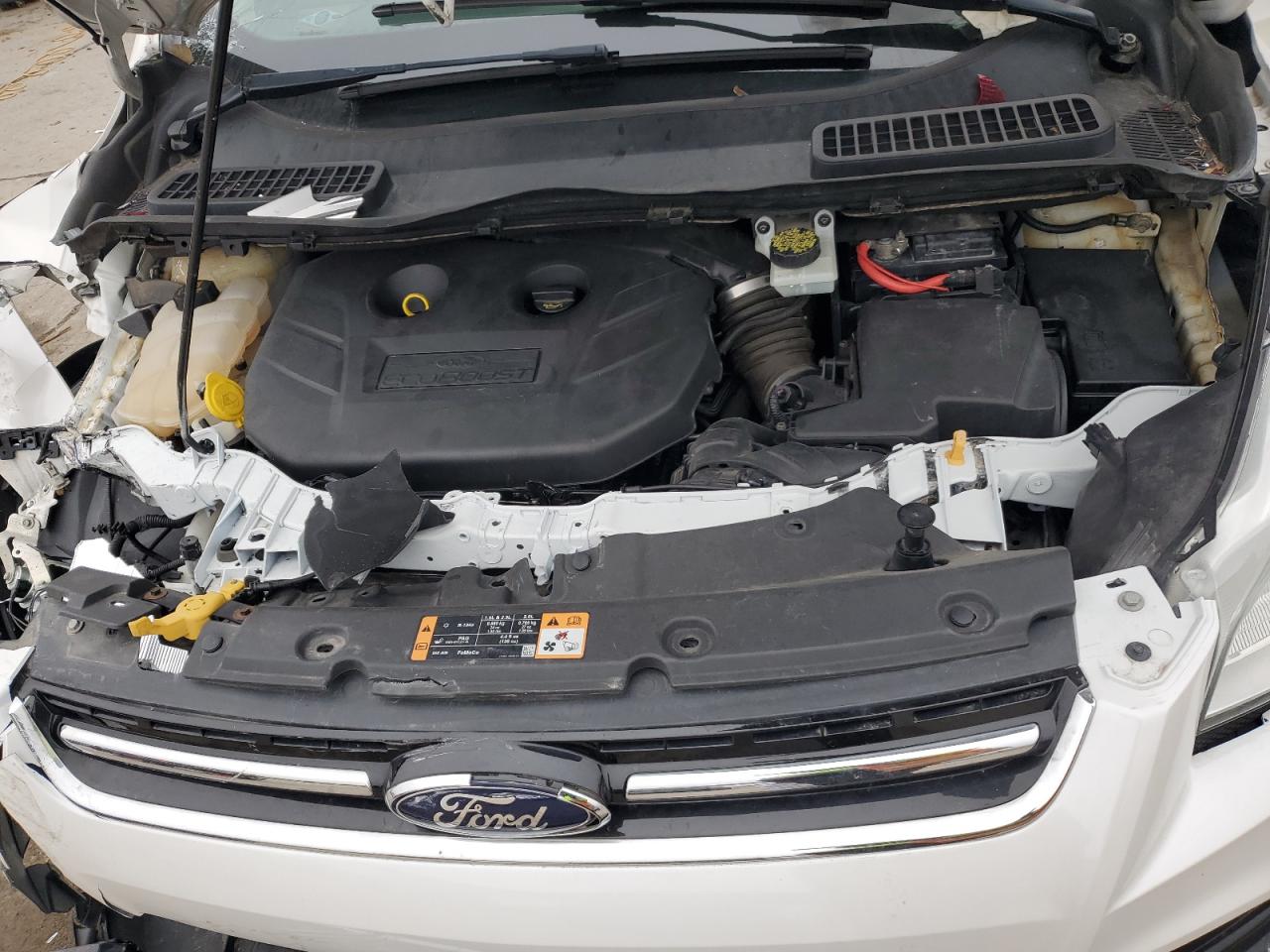 Ford Escape Titanium Image 2