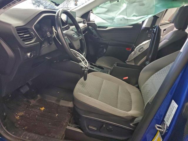 Ford Escape Se Image 5