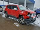 Jeep Renegade Limited Image 7