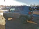 Jeep Renegade Trailhawk Image 2