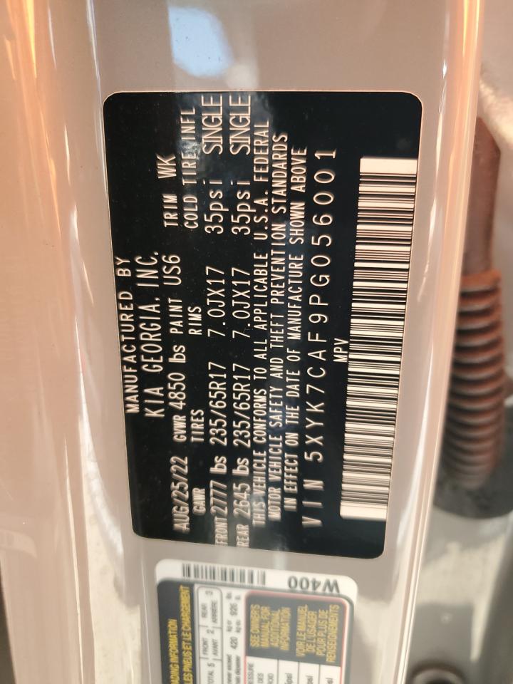 Kia Sportage X-pro Image 14