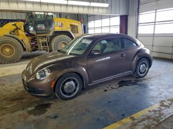  Salvage Volkswagen Beetle