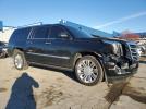 Cadillac Escalade Esv Platinum Image 13
