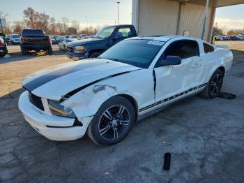  Salvage Ford Mustang