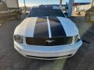 Ford Mustang Image 4