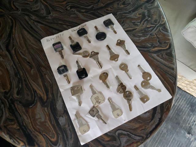 Ftor Forest Riv Image 9